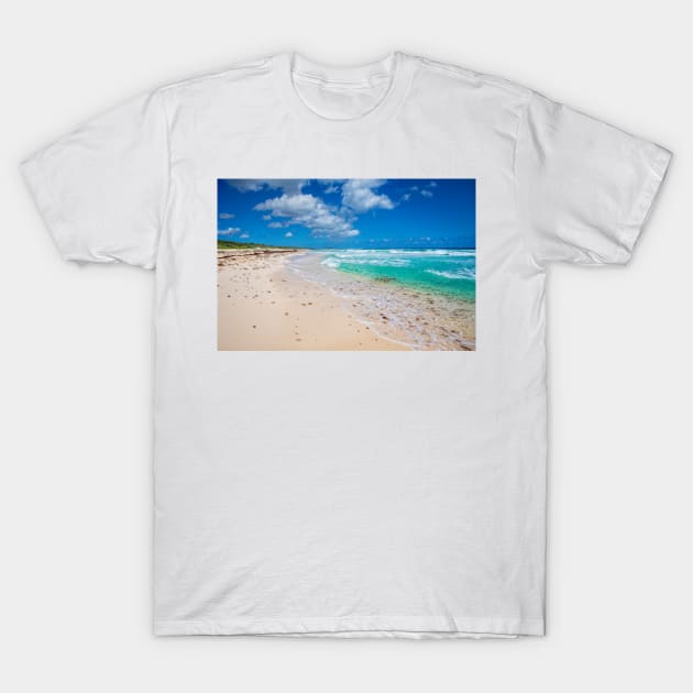 Quiet Beach T-Shirt by Eunice1